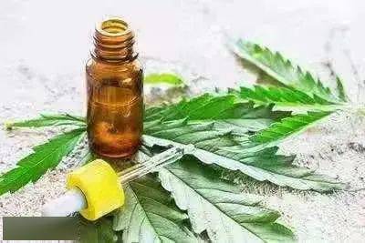 合成大麻素类 在烟草伪装的背后远不止你想象的那么简单